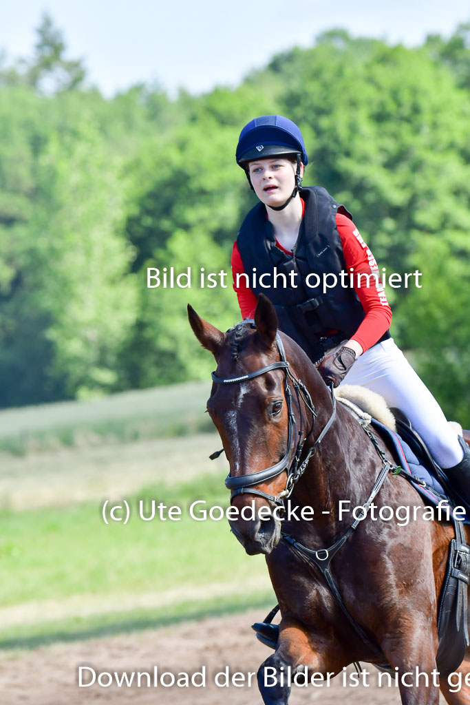 Goldene Schärpe PFerde  in Löningen  11+12.6.22 | 11062022 - Gelände 1 Abt_0355 