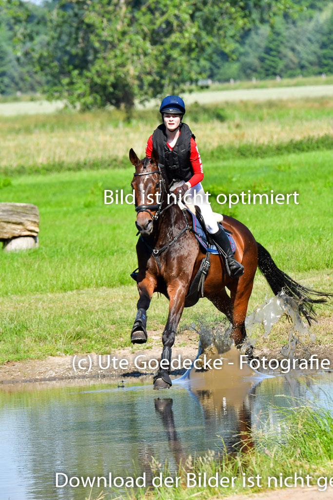 Goldene Schärpe PFerde  in Löningen  11+12.6.22 | 11062022 - Gelände 1 Abt_0356 