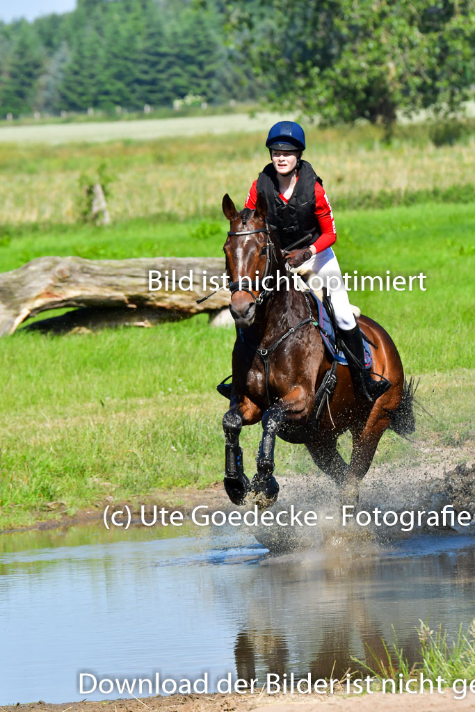 Goldene Schärpe PFerde  in Löningen  11+12.6.22 | 11062022 - Gelände 1 Abt_0357 