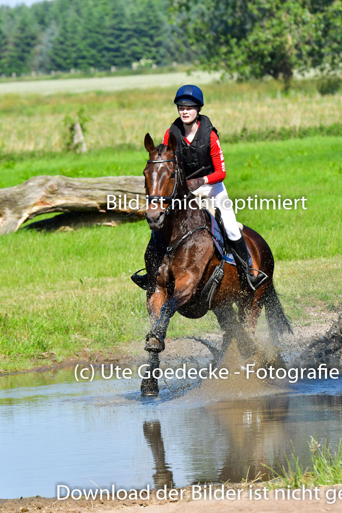 Goldene Schärpe PFerde  in Löningen  11+12.6.22 | 11062022 - Gelände 1 Abt_0358 
