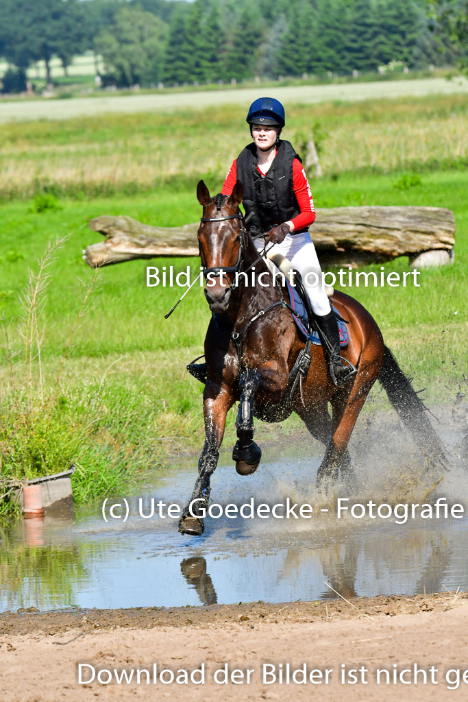 Goldene Schärpe PFerde  in Löningen  11+12.6.22 | 11062022 - Gelände 1 Abt_0360 