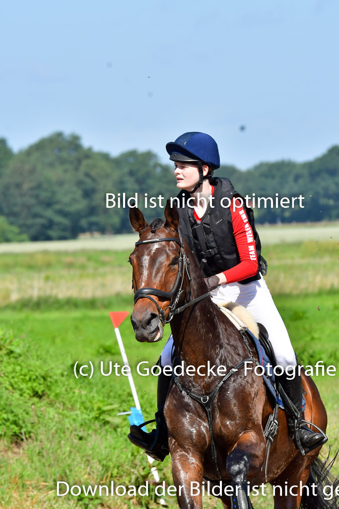 Goldene Schärpe PFerde  in Löningen  11+12.6.22 | 11062022 - Gelände 1 Abt_0361 