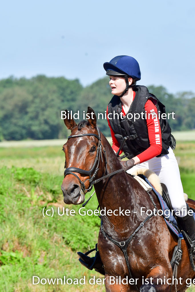 Goldene Schärpe PFerde  in Löningen  11+12.6.22 | 11062022 - Gelände 1 Abt_0362 