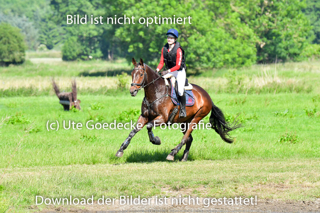 Goldene Schärpe PFerde  in Löningen  11+12.6.22 | 11062022 - Gelände 1 Abt_0365