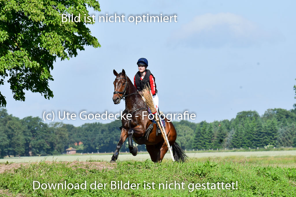 Goldene Schärpe PFerde  in Löningen  11+12.6.22 | 11062022 - Gelände 1 Abt_0366 