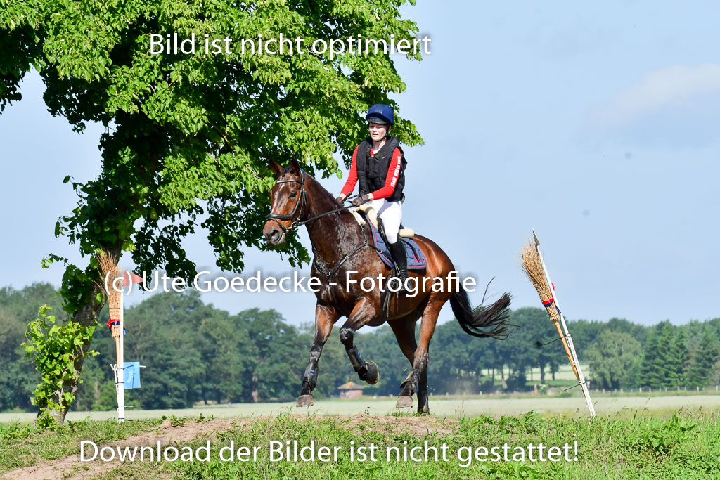 Goldene Schärpe PFerde  in Löningen  11+12.6.22 | 11062022 - Gelände 1 Abt_0367 