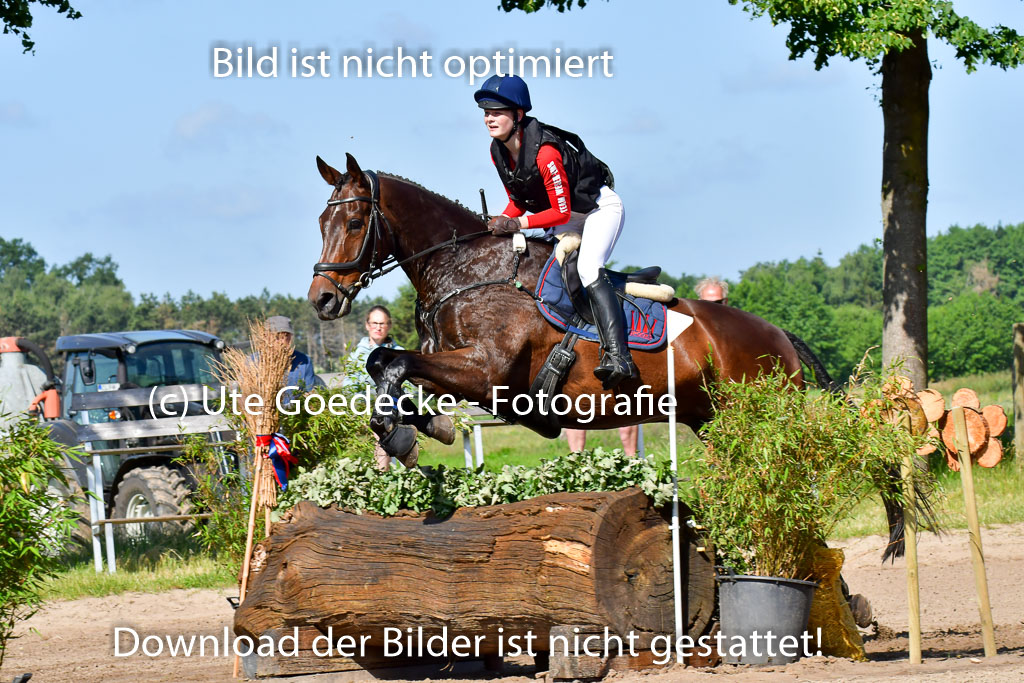 Goldene Schärpe PFerde  in Löningen  11+12.6.22 | 11062022 - Gelände 1 Abt_0368 