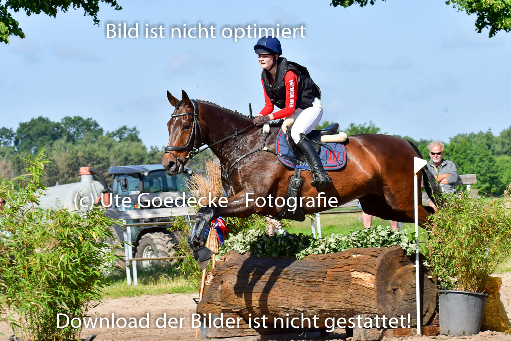 Goldene Schärpe PFerde  in Löningen  11+12.6.22 | 11062022 - Gelände 1 Abt_0369