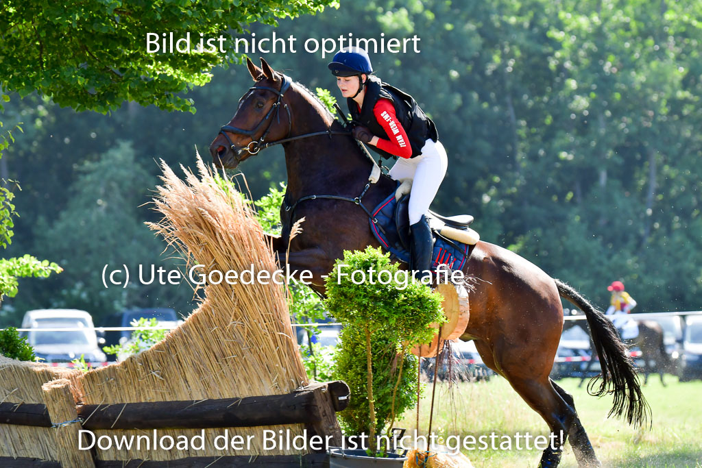 Goldene Schärpe PFerde  in Löningen  11+12.6.22 | 11062022 - Gelände 1 Abt_0370 