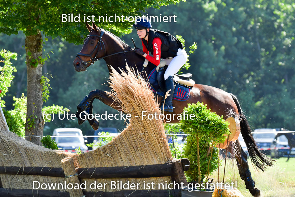 Goldene Schärpe PFerde  in Löningen  11+12.6.22 | 11062022 - Gelände 1 Abt_0371 