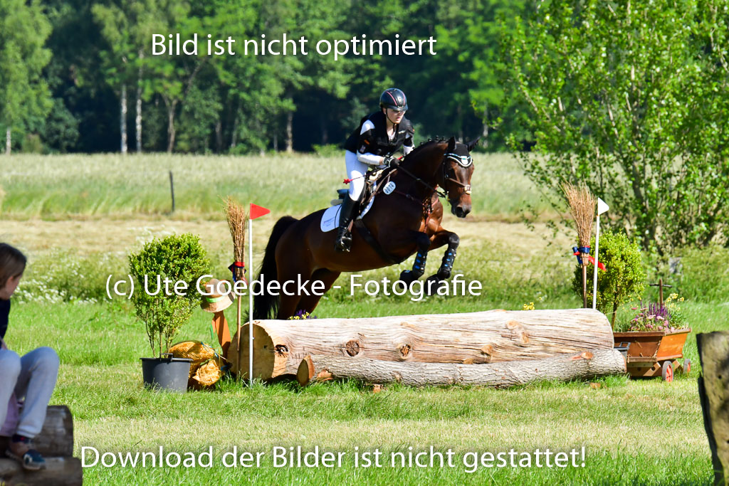Goldene Schärpe PFerde  in Löningen  11+12.6.22 | 11062022 - Gelände 1 Abt_0373 