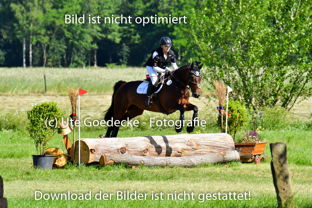 Goldene Schärpe PFerde  in Löningen  11+12.6.22 | 11062022 - Gelände 1 Abt_0374 