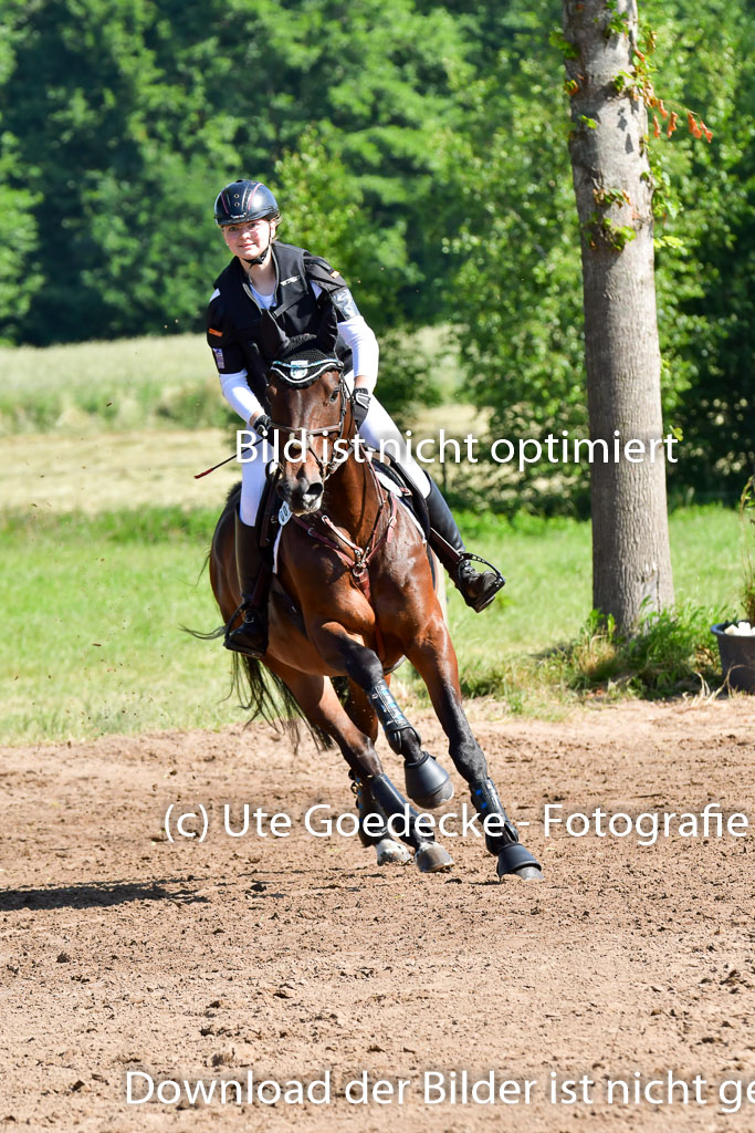 Goldene Schärpe PFerde  in Löningen  11+12.6.22 | 11062022 - Gelände 1 Abt_0376 