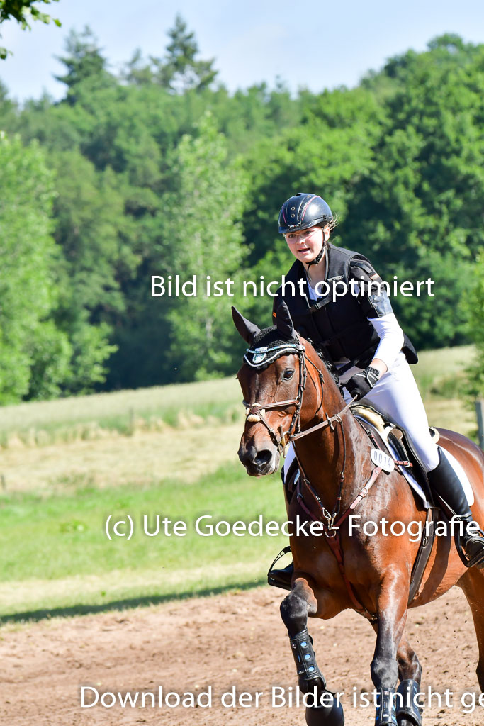 Goldene Schärpe PFerde  in Löningen  11+12.6.22 | 11062022 - Gelände 1 Abt_0378 