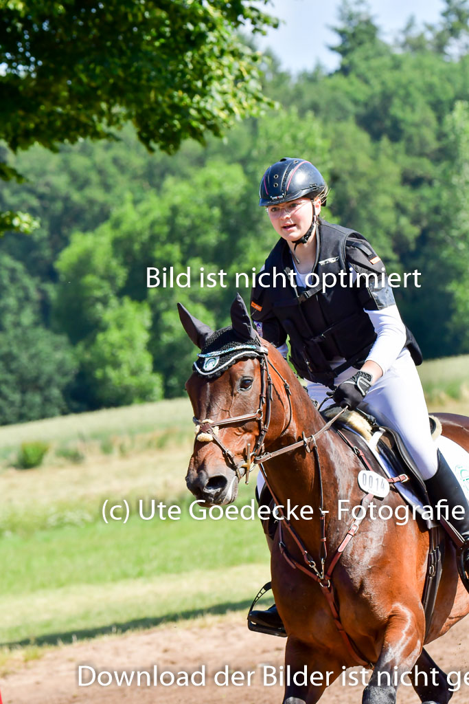 Goldene Schärpe PFerde  in Löningen  11+12.6.22 | 11062022 - Gelände 1 Abt_0379 