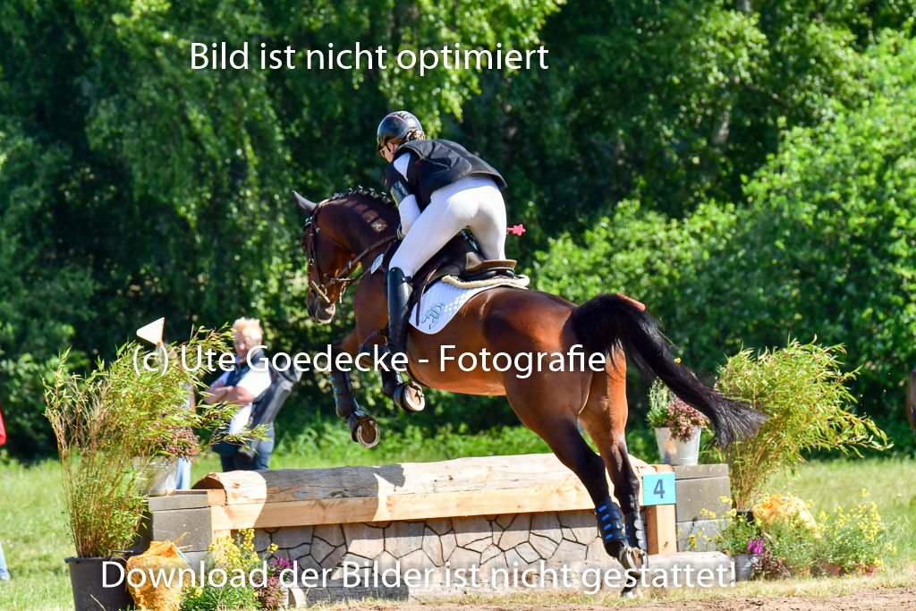 Goldene Schärpe PFerde  in Löningen  11+12.6.22 | 11062022 - Gelände 1 Abt_0380 