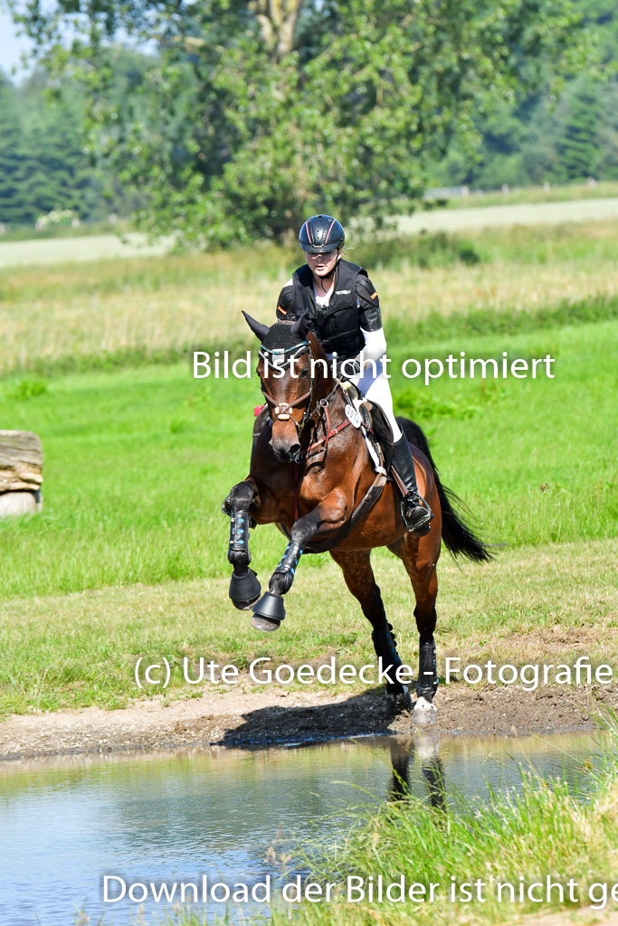 Goldene Schärpe PFerde  in Löningen  11+12.6.22 | 11062022 - Gelände 1 Abt_0381 