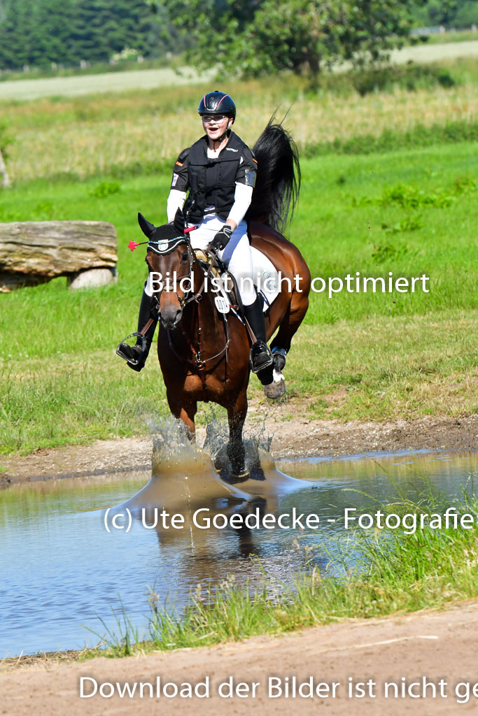 Goldene Schärpe PFerde  in Löningen  11+12.6.22 | 11062022 - Gelände 1 Abt_0384 