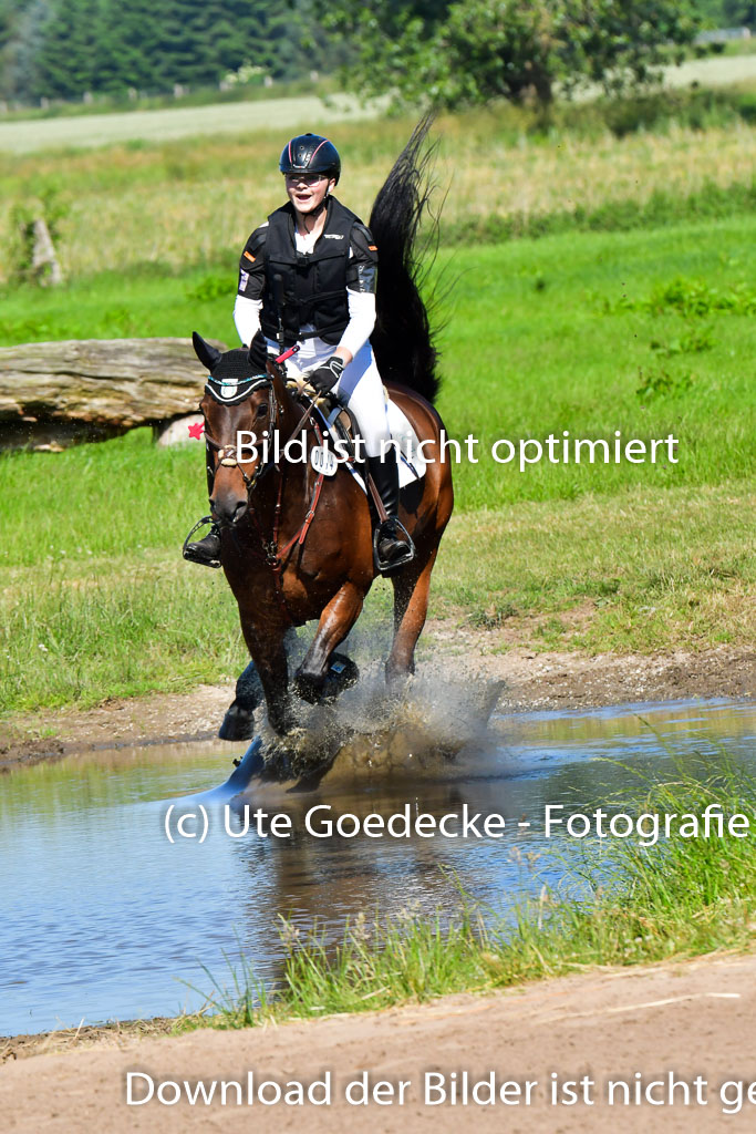 Goldene Schärpe PFerde  in Löningen  11+12.6.22 | 11062022 - Gelände 1 Abt_0385 