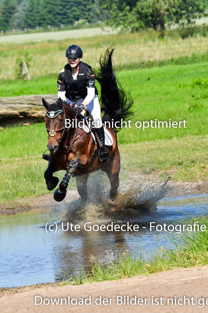 Goldene Schärpe PFerde  in Löningen  11+12.6.22 | 11062022 - Gelände 1 Abt_0386 