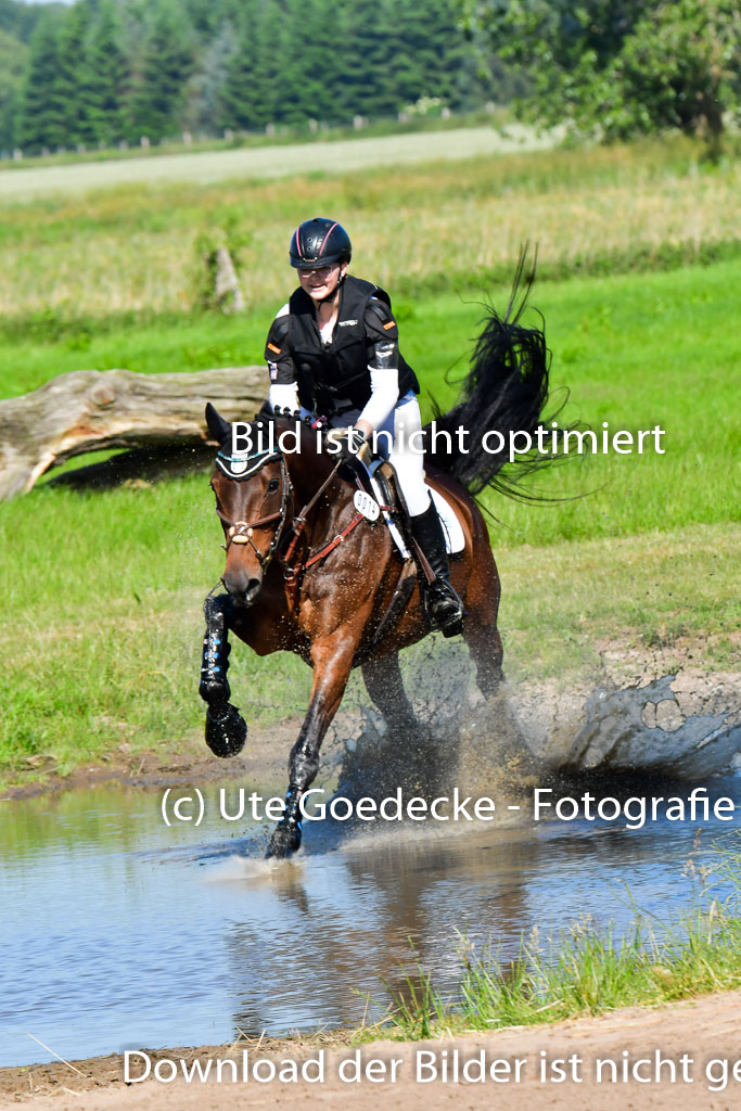 Goldene Schärpe PFerde  in Löningen  11+12.6.22 | 11062022 - Gelände 1 Abt_0387 