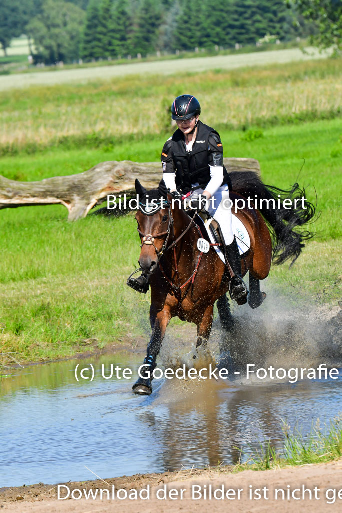 Goldene Schärpe PFerde  in Löningen  11+12.6.22 | 11062022 - Gelände 1 Abt_0388 