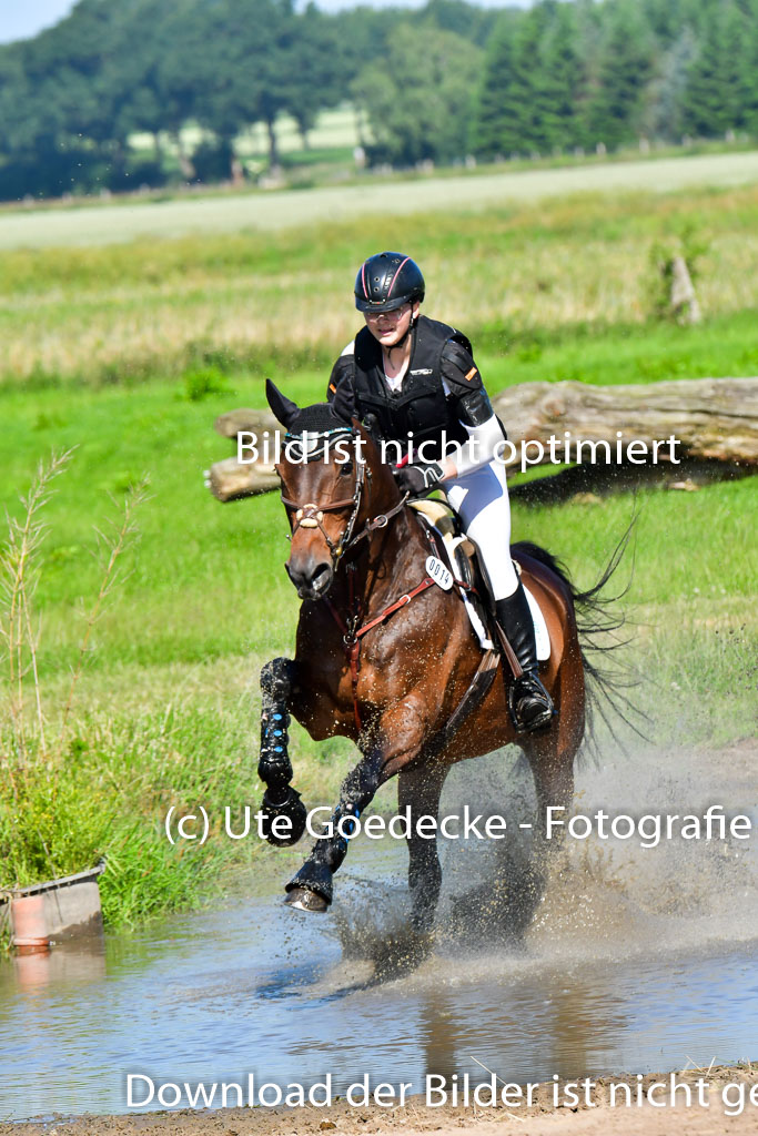 Goldene Schärpe PFerde  in Löningen  11+12.6.22 | 11062022 - Gelände 1 Abt_0389 