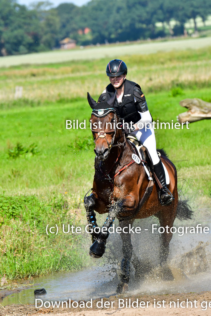Goldene Schärpe PFerde  in Löningen  11+12.6.22 | 11062022 - Gelände 1 Abt_0391 