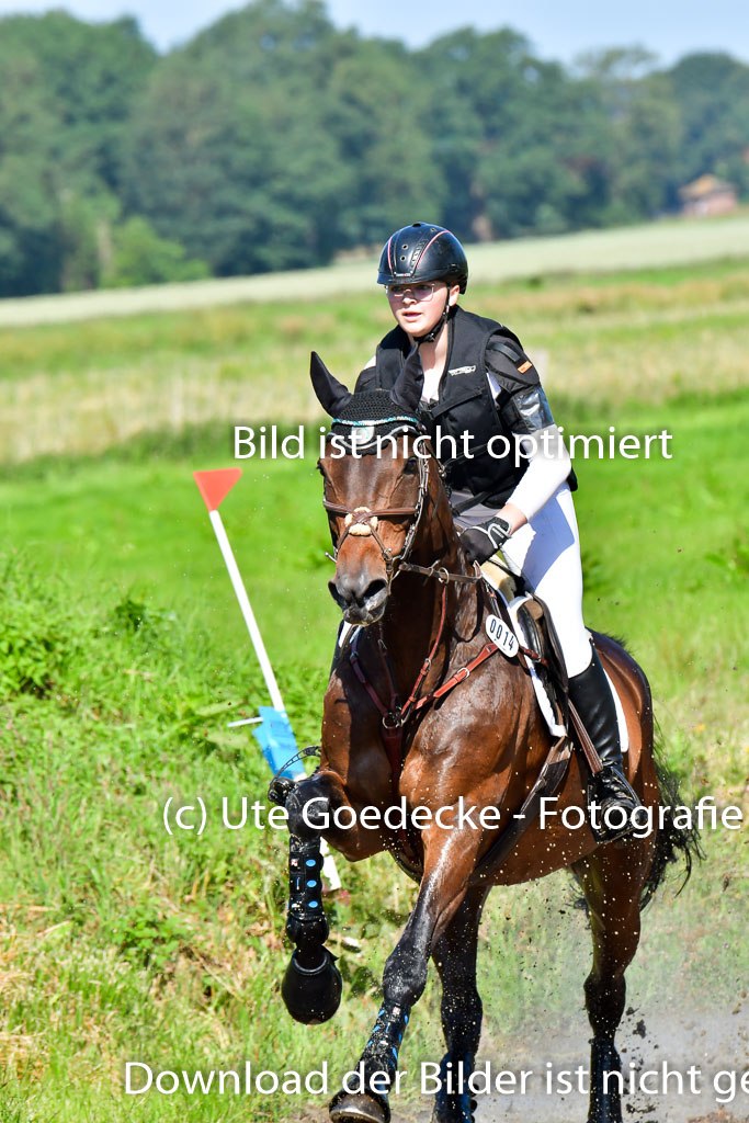 Goldene Schärpe PFerde  in Löningen  11+12.6.22 | 11062022 - Gelände 1 Abt_0392 