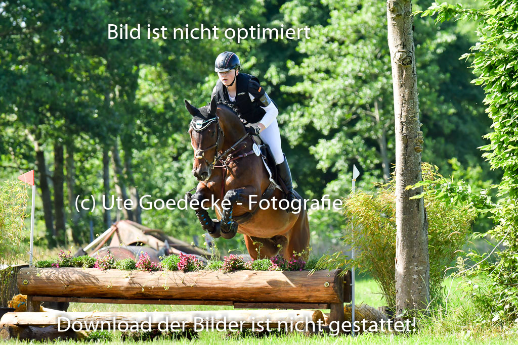 Goldene Schärpe PFerde  in Löningen  11+12.6.22 | 11062022 - Gelände 1 Abt_0393