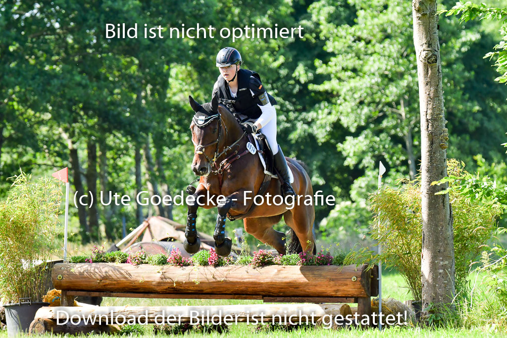Goldene Schärpe PFerde  in Löningen  11+12.6.22 | 11062022 - Gelände 1 Abt_0394 