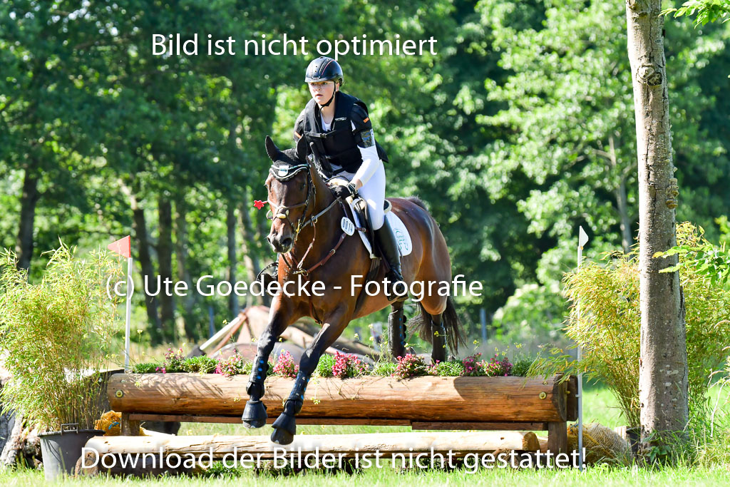 Goldene Schärpe PFerde  in Löningen  11+12.6.22 | 11062022 - Gelände 1 Abt_0395 