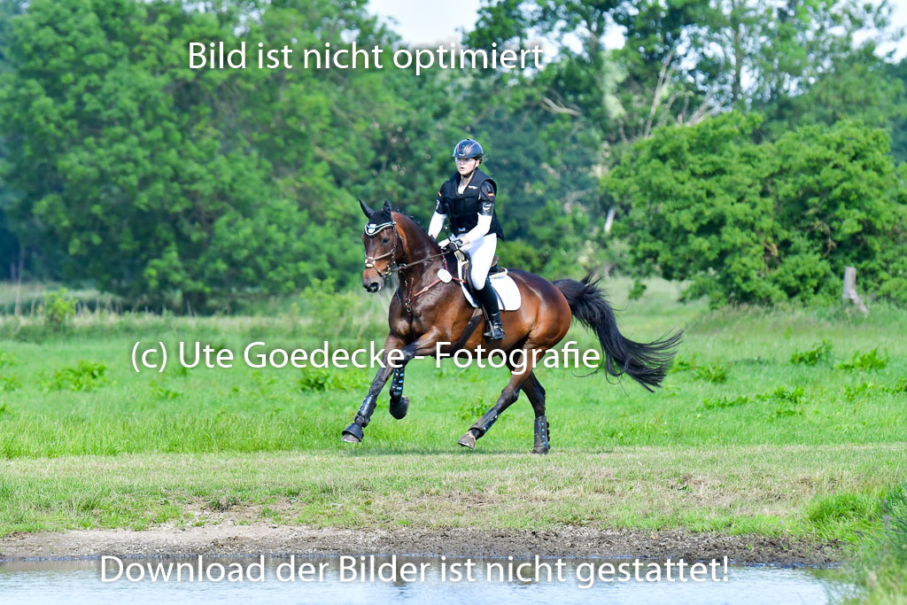 Goldene Schärpe PFerde  in Löningen  11+12.6.22 | 11062022 - Gelände 1 Abt_0396