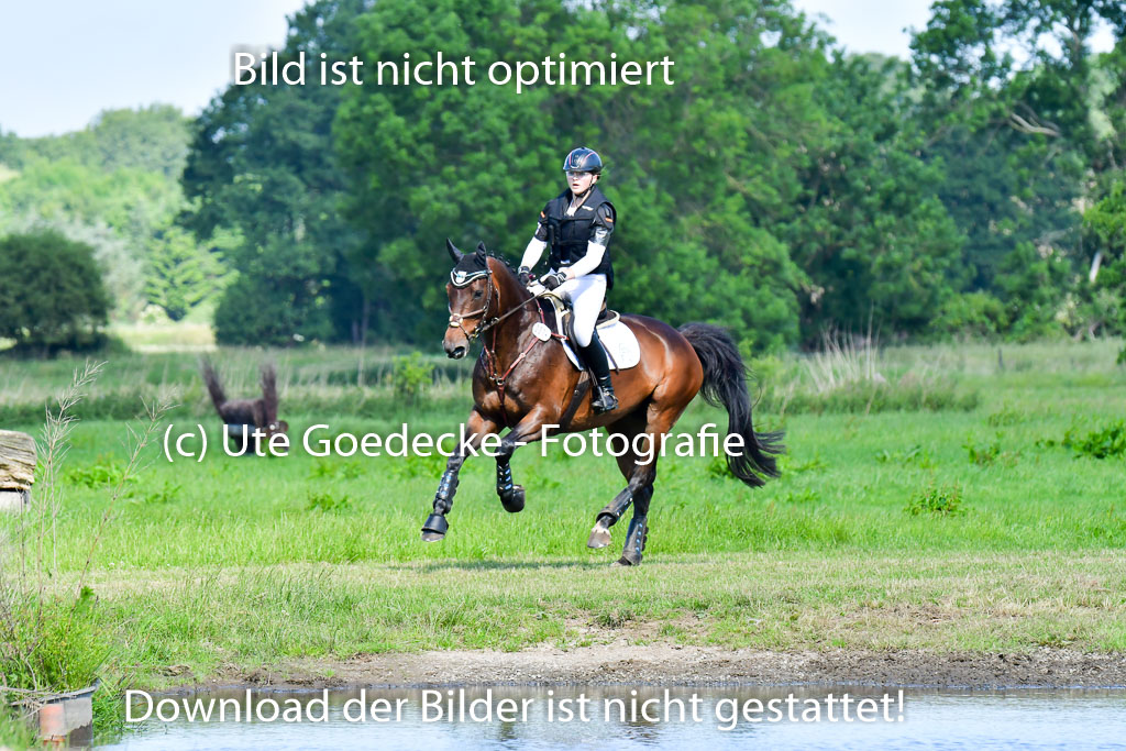 Goldene Schärpe PFerde  in Löningen  11+12.6.22 | 11062022 - Gelände 1 Abt_0397 
