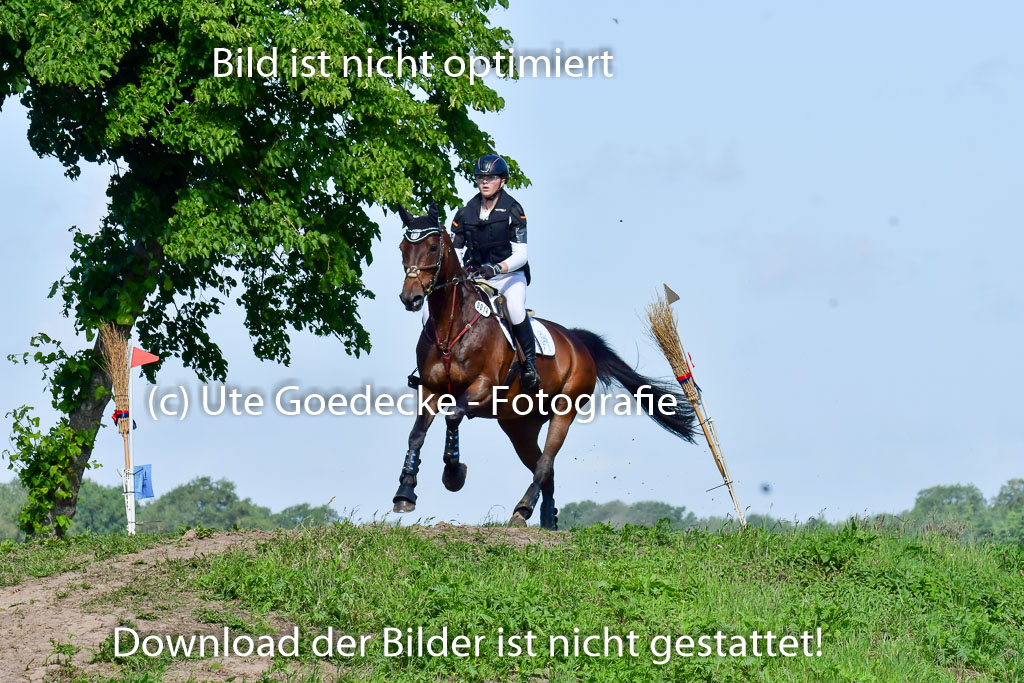Goldene Schärpe PFerde  in Löningen  11+12.6.22 | 11062022 - Gelände 1 Abt_0399 