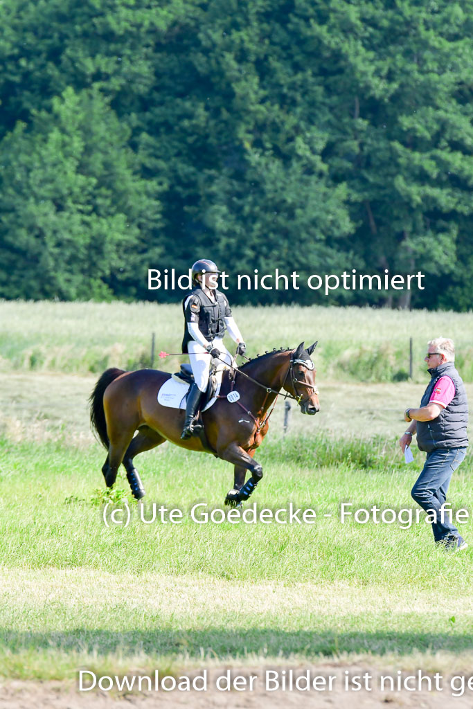 Goldene Schärpe PFerde  in Löningen  11+12.6.22 | 11062022 - Gelände 1 Abt_0403 