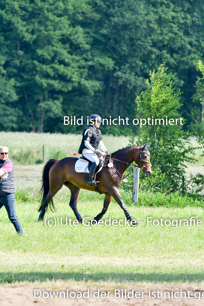 Goldene Schärpe PFerde  in Löningen  11+12.6.22 | 11062022 - Gelände 1 Abt_0404 