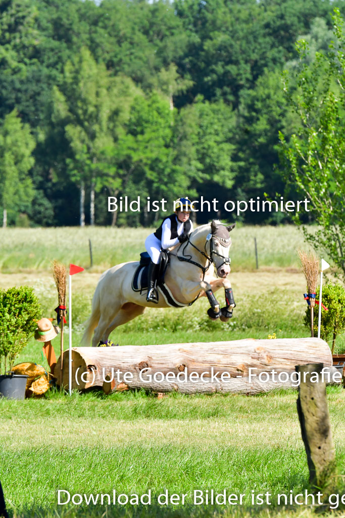 Goldene Schärpe PFerde  in Löningen  11+12.6.22 | 11062022 - Gelände 1 Abt_0405 
