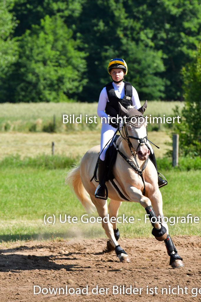 Goldene Schärpe PFerde  in Löningen  11+12.6.22 | 11062022 - Gelände 1 Abt_0406 