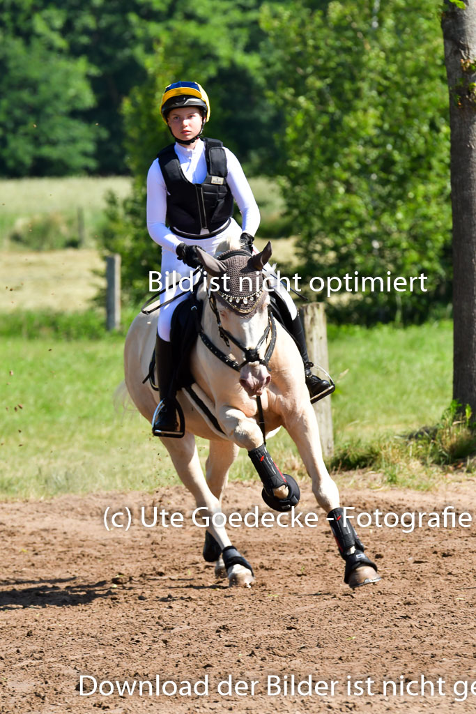 Goldene Schärpe PFerde  in Löningen  11+12.6.22 | 11062022 - Gelände 1 Abt_0408