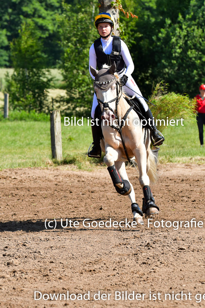 Goldene Schärpe PFerde  in Löningen  11+12.6.22 | 11062022 - Gelände 1 Abt_0409 