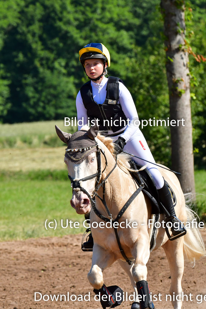 Goldene Schärpe PFerde  in Löningen  11+12.6.22 | 11062022 - Gelände 1 Abt_0410 