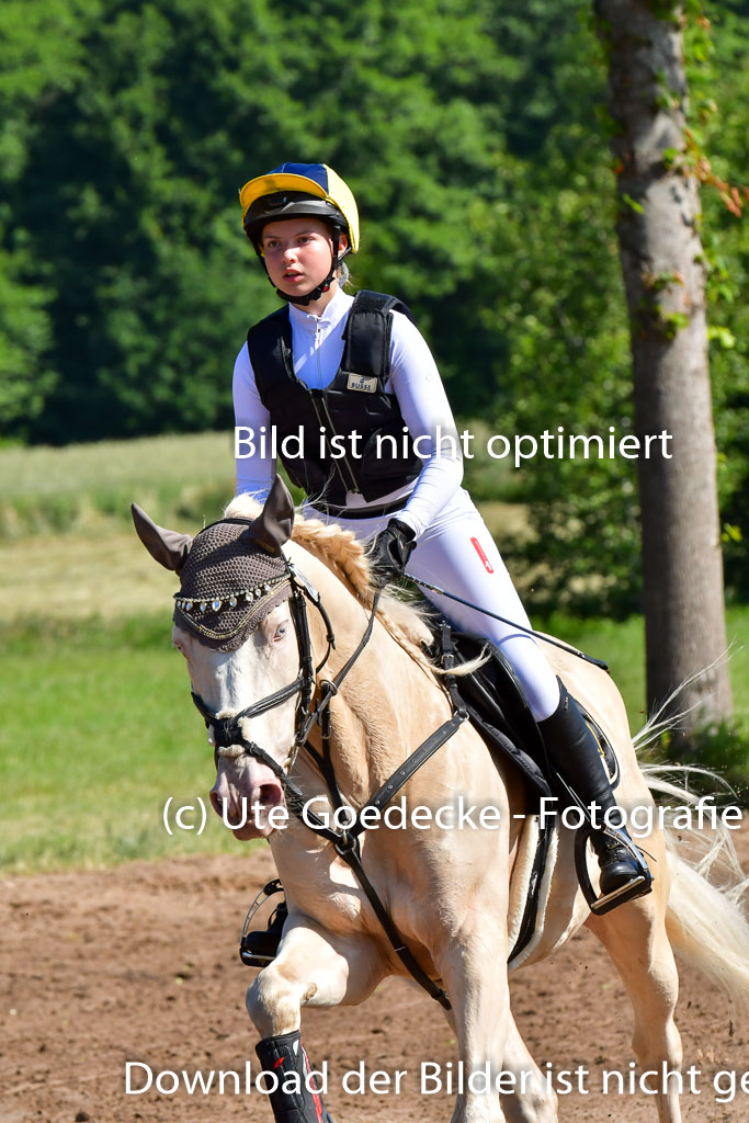 Goldene Schärpe PFerde  in Löningen  11+12.6.22 | 11062022 - Gelände 1 Abt_0411 