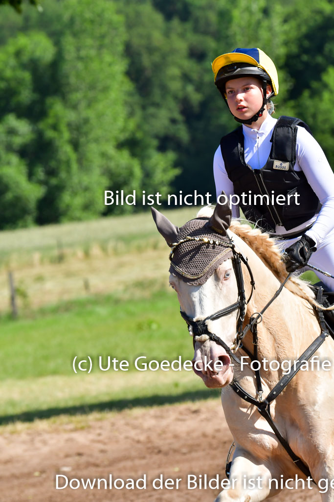 Goldene Schärpe PFerde  in Löningen  11+12.6.22 | 11062022 - Gelände 1 Abt_0412 