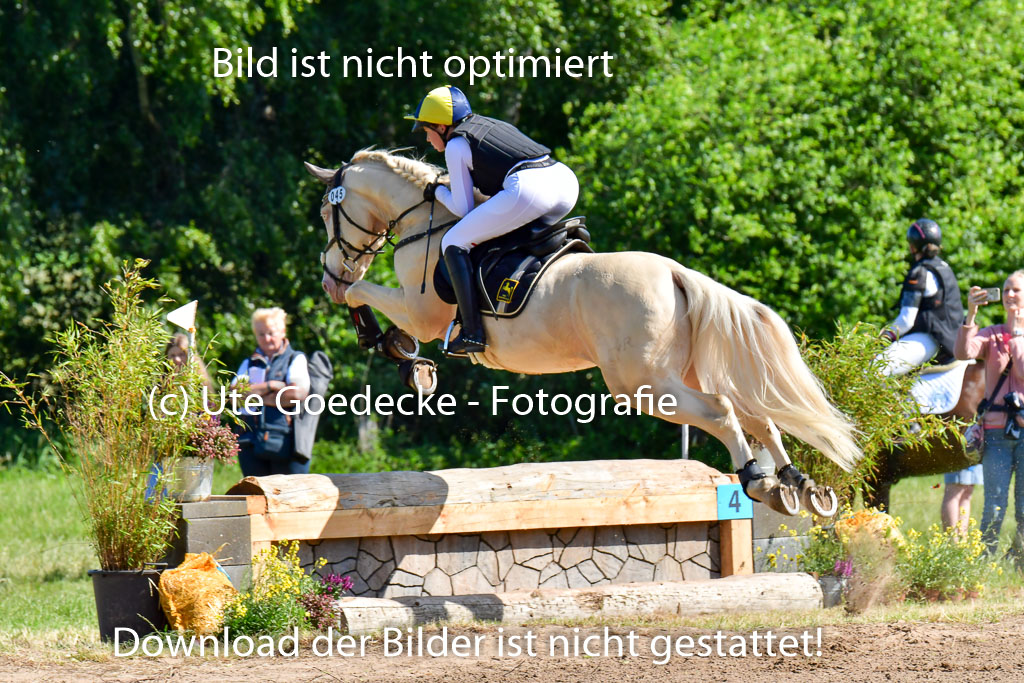 Goldene Schärpe PFerde  in Löningen  11+12.6.22 | 11062022 - Gelände 1 Abt_0413 