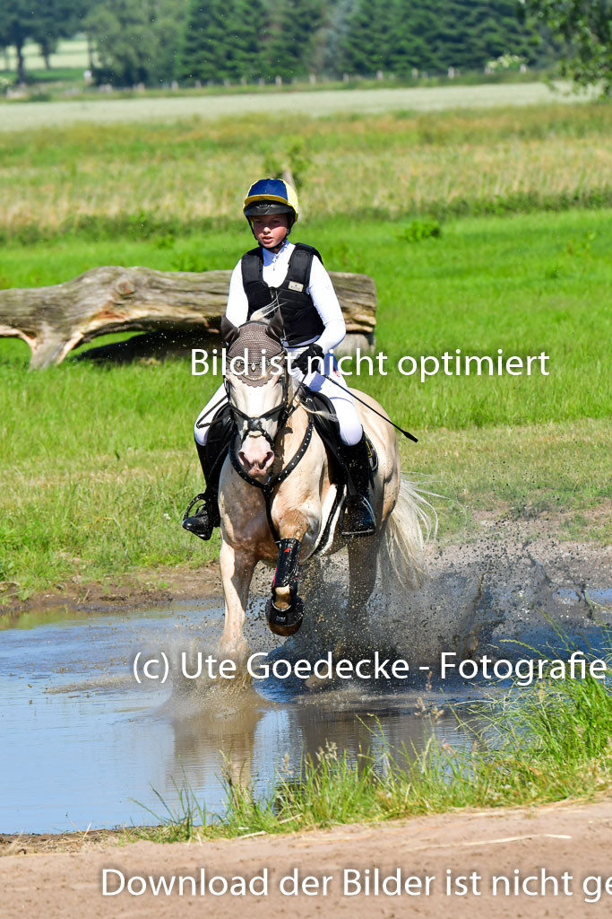 Goldene Schärpe PFerde  in Löningen  11+12.6.22 | 11062022 - Gelände 1 Abt_0417 