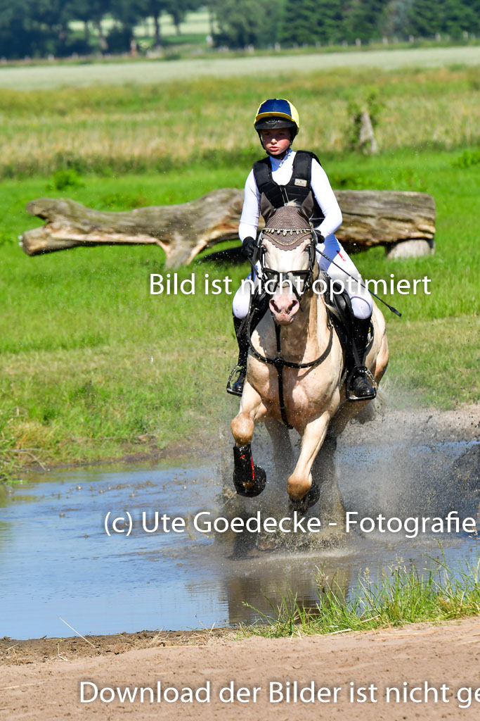 Goldene Schärpe PFerde  in Löningen  11+12.6.22 | 11062022 - Gelände 1 Abt_0418 