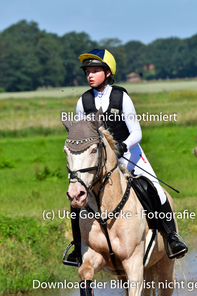 Goldene Schärpe PFerde  in Löningen  11+12.6.22 | 11062022 - Gelände 1 Abt_0424 