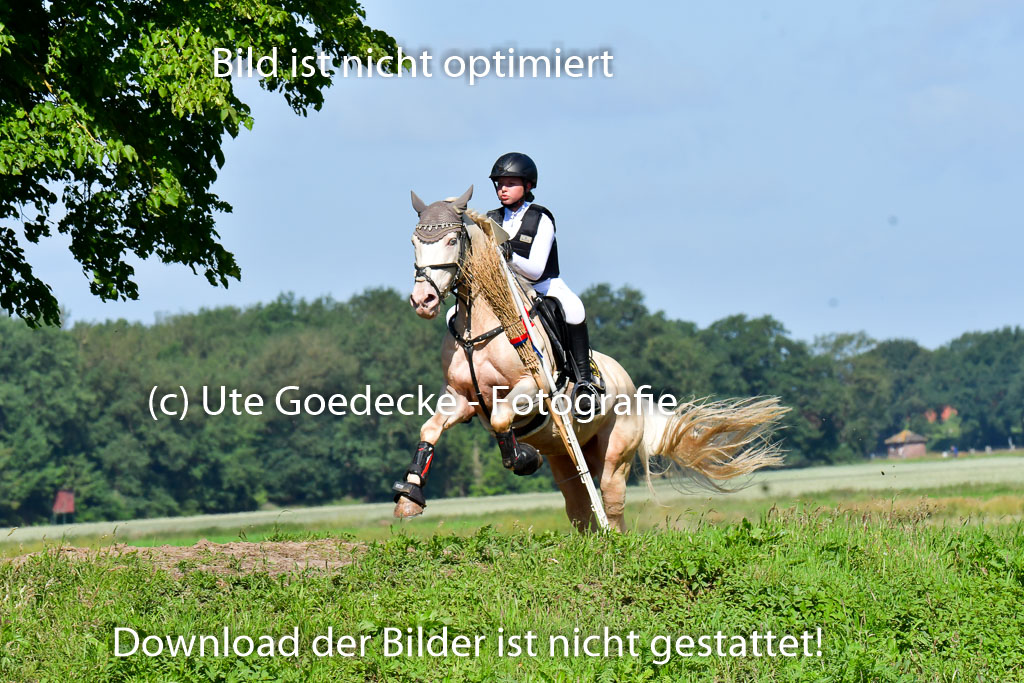 Goldene Schärpe PFerde  in Löningen  11+12.6.22 | 11062022 - Gelände 1 Abt_0428 