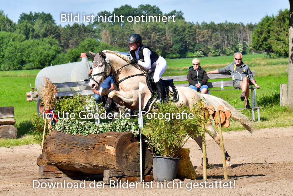 Goldene Schärpe PFerde  in Löningen  11+12.6.22 | 11062022 - Gelände 1 Abt_0431 